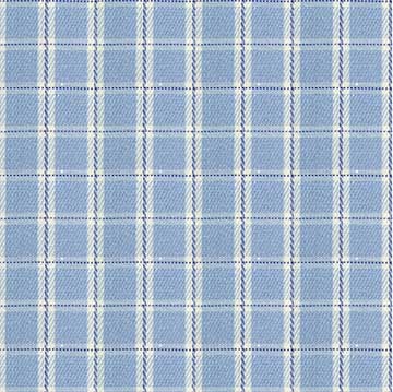 White Blue Checkered