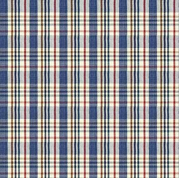 Blue Winter Checkered