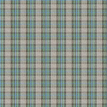 Green Winter Checkered 