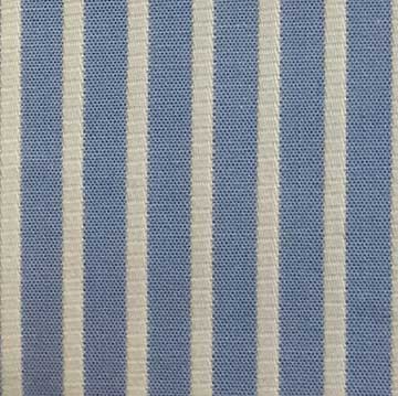 Blue Strip