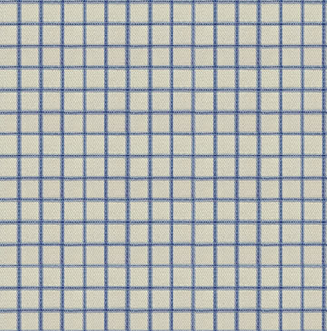 Blue White Checkered