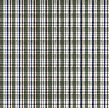 Europe Winter Checkered